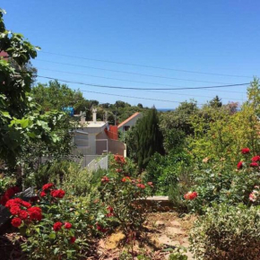 Apartmani Snezana